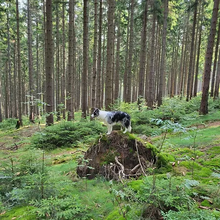 Karkonosze - W Domu Gospodarzy